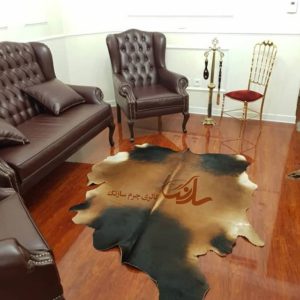 پوست مویی گاو